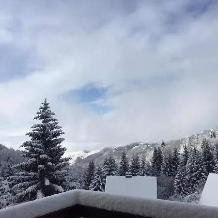 Tanja קופאוניק